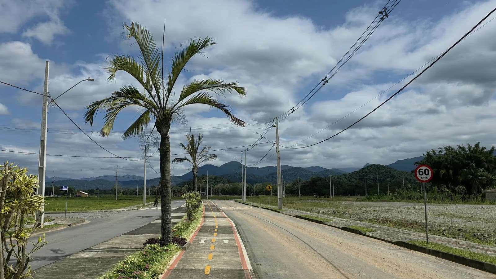 Fotografia da avenida do Villa Dona Francisca, fase 1, com pavimentação, ciclovia e canteiro de palmeiras.